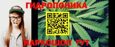 каннабис Гай