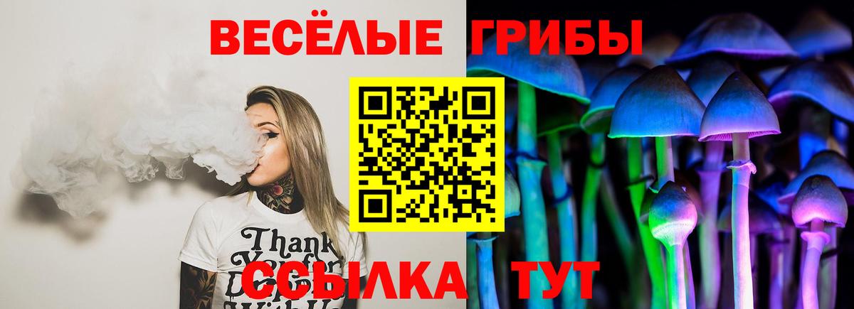 Нарткала  Псилоцибиновые грибы MAGIC MUSHROOMS  Вход с VPN 